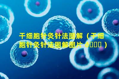 干细胞针灸针法图解（干细胞针灸针法图解图片 💐 ）